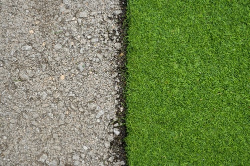 Rollrasen & Rasenpflege